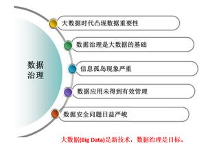 政府數據體檢 數據治理標準與服務引領數字化轉型