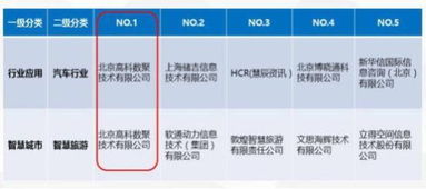 讓大數(shù)據(jù)成為指路明燈 北京高科數(shù)聚技術(shù)的代理代辦服務(wù)解析